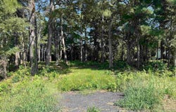 271 Grandy Road lot: 2, Grandy, NC 27939
