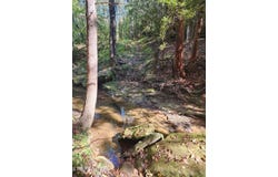 Rugby Highway 52, Robbins, TN 37852