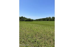 03 Springridge Road, Raymond, MS 39154
