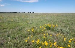 County Road 12, Rush, CO 80833