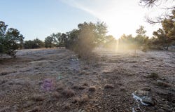 1531 Lake Dr, Spring Branch, TX 78070