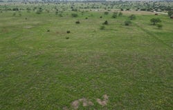 2332 County Road 2109, Lometa, TX 76853