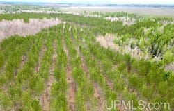 Co Rd 440, Wetmore, MI 49849