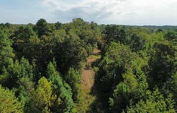 Palmetto Loop, Bismarck, AR 71929-0000