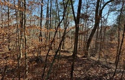 231.8 AC New Hope Rd, Celina, TN 38551
