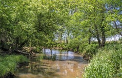 Tract 1 State Route 47, Richwood, OH 43344