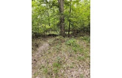 E 28 Acres Dallas 203, Carthage, AR 71725