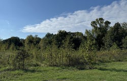 FM 195, Bagwell, TX 75412