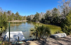Ancient Oaks Dr, Steinhatchee, FL 32359