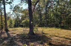 County Road 6030, Salem, MO 65560