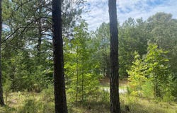 203 W Peninsula Drive, Laurens, SC 29360