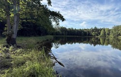 469 Brodie Road, Leesville, SC 29070