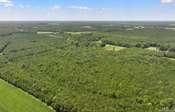 Hwy 258, Rich Square, NC 27869
