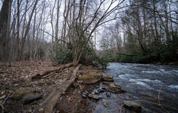 Listonburg Rd, Confluence, PA 15424