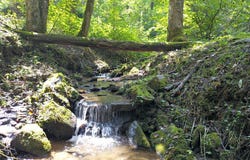 Mountain Forest Estates Road, Sylva, NC 28779