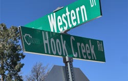 29135 Hook Creek, Cedar Glen, CA 92321