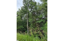 Pelzer, SC 29669