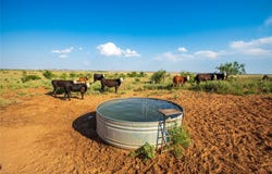 County Road 458, Colorado City, TX 79512