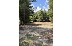 1547a Pine Valley Drive, Elgin, SC 29045