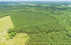 Ten Acre Rd., Andrews, SC 29510