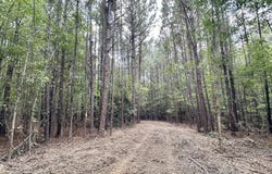 1 Clara Foote Rd, Braxton, MS 39044