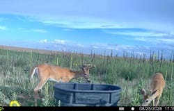 County Road 86, Limon, CO 80828