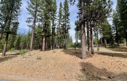 153 Saddle Ridge Road lot: 5, Clio, CA 96106