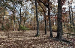 County Rd 308, Forrest City, AR 72335