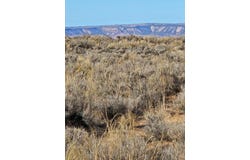 Duarte Road, Los Lunas, NM 87031