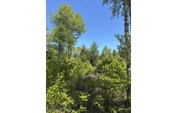 54 Poplar Lane, Hancock, ME 04640