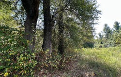 624 Caraway Road, Hickory, MS 39332