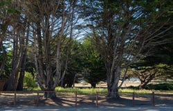 121 Magellan AVE, Half Moon Bay, CA 94019