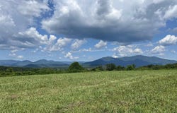 ROSELAND RD, ROSELAND, VA 22967