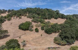 155 Riordan Lane, Napa, CA 94558