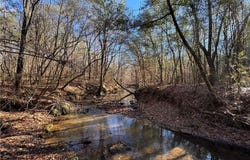 PLEASANT, CAMP HILL, AL 36850