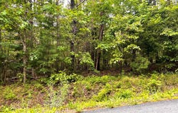 Old Tower Hill Rd, Dillwyn, VA 23936