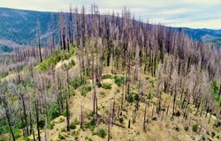 1581 Marshall Rock Rd, Ruth, CA 95526