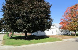 282 2nd Street, Dawson, MN 56232
