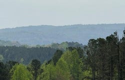 1100 Fuller Mountain, Fairmount, GA 30143