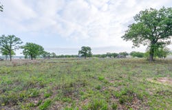 1034 County Road 207, Ovalo, TX 79541