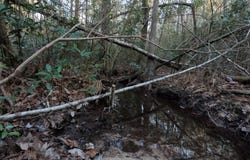 S County Line Road, Columbia, MS 39429