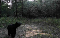 3024 Red Bench RD, Paris, AR 72855