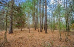 Harris Road, Haworth, OK 74740