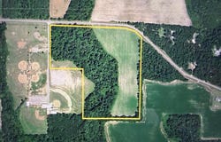 31.82+-ac D Hodge Rd, Cottonwood, AL 36320