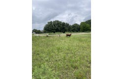 Private Road 2545, Quinlan, TX 75474