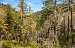 0 Jordan Hill Rd, Paradise, CA 95969
