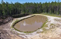 15539 COUNTY RD 305, BUNNELL, FL 32110
