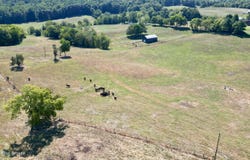S Hwy 55 Rd, Columbia, KY 42728