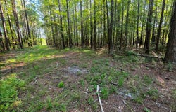 Bath, NC 27808