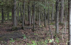 W Huron, Omer, MI 48749